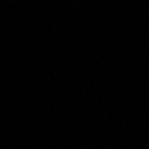 Meet your Posher, Shelby